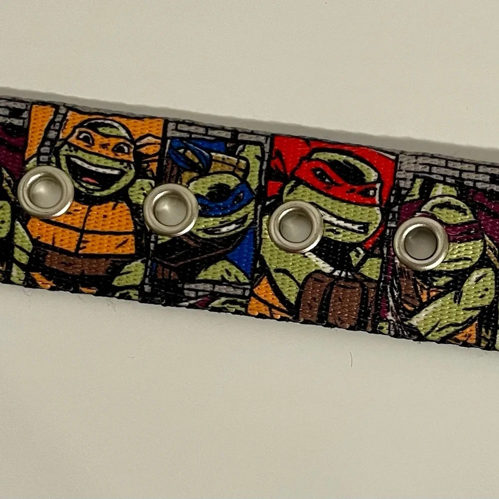 Ninja turtle belt